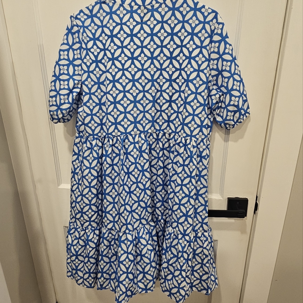 Spring Dress - Picture 4 of 4